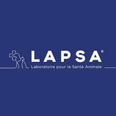 Lapsa